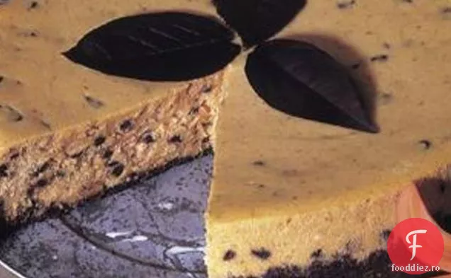 Cheesecake Cu Dovleac Cu Ciocolată