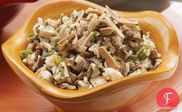 Salată de pui și orez sălbatic cu vinaigretă de portocale-Mango