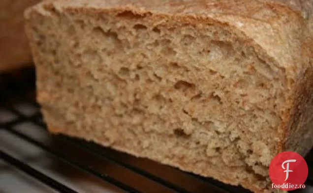 Pâine Integrală De Grâu De Bază