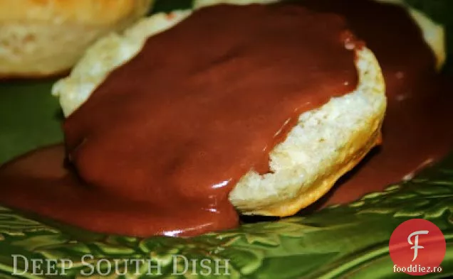 Sos de ciocolată și biscuiți