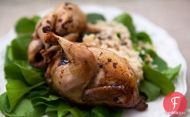 Friptură de prepeliță cu reducere balsamică