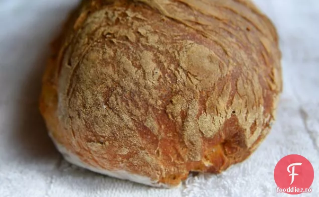 Pâine Sărată Cu Rozmarin De Dovleac
