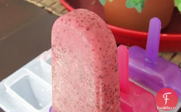 Popsicles Cu Cremă De Afine Cu Conținut Scăzut De Grăsimi