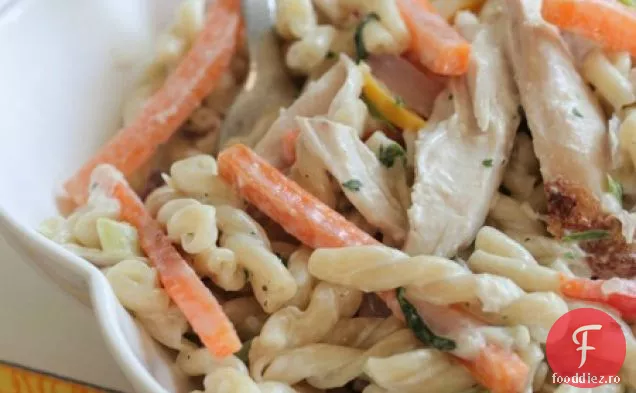 Paste Cremoase De Pui Fajita