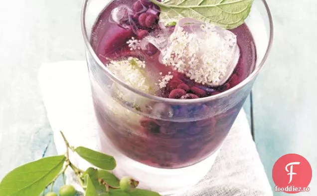 Soda De Afine Sălbatice