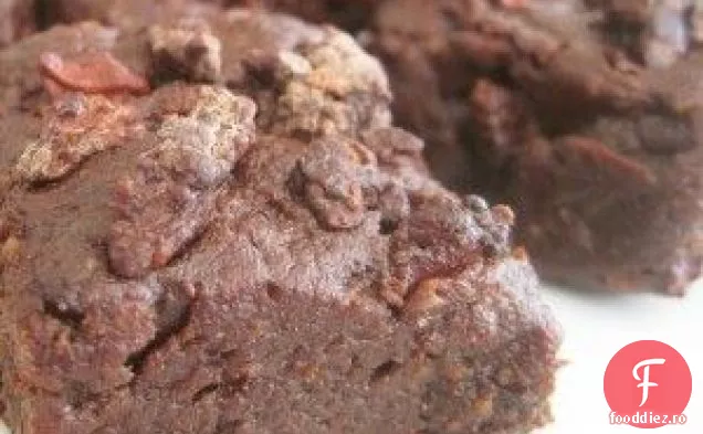 Fudgey Raw Vegan Negrese