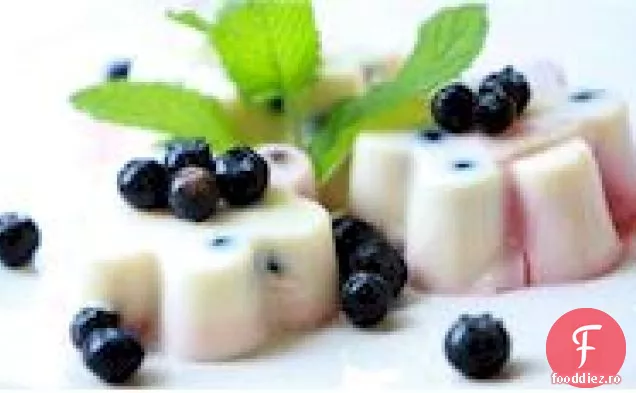 Mini forme de fructe ușoare și cremoase congelate de lămâie-Lime