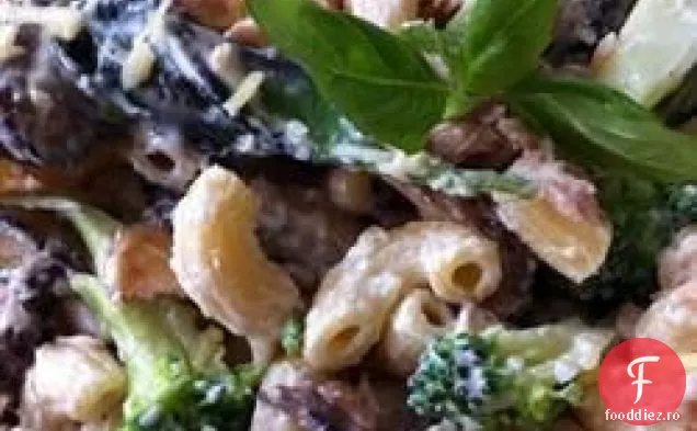 Cremă De Brânză Alfredo Sos