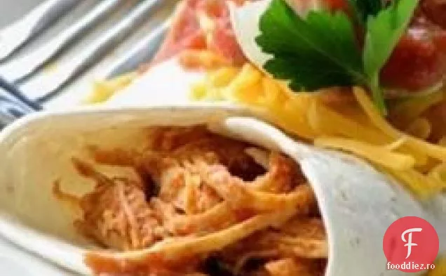 Umplutură De Burrito De Pui Salsa