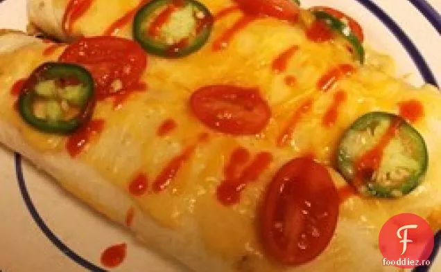 Bountiful Garden Zucchini Enchiladas