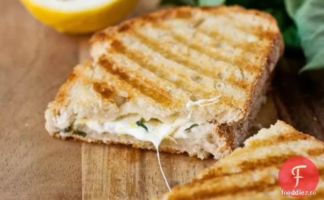 Panini Cu Brânză La Grătar Cu Lămâie-Busuioc