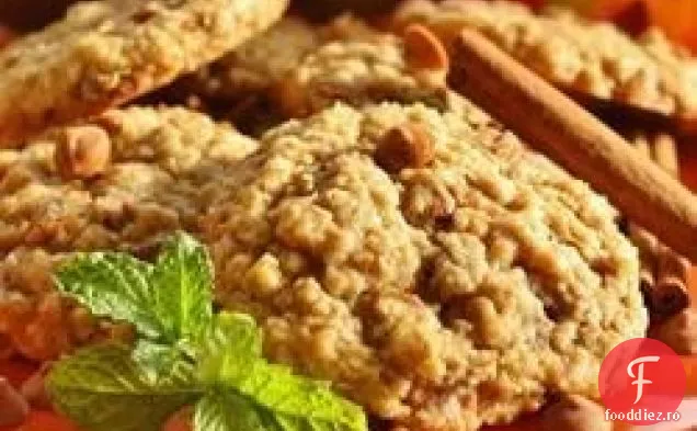 Devoratoare Fulgi De Ovăz Ciocolata Chip Cookie-Uri