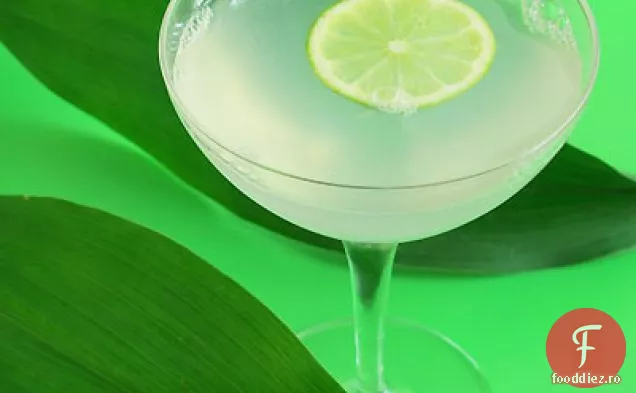 Daiquiri Clasic Perfect