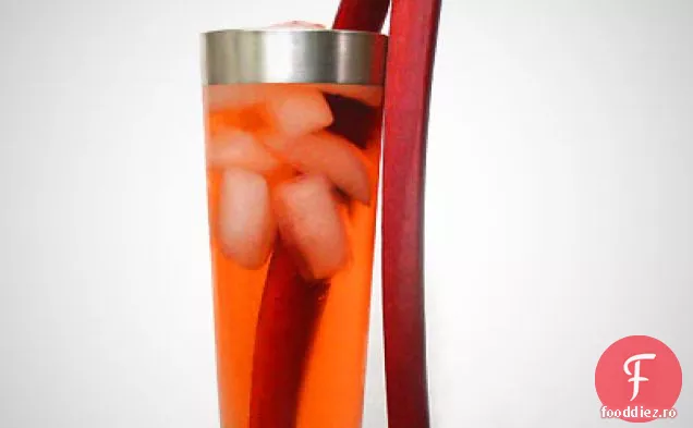Rubarbă Gin & Tonic