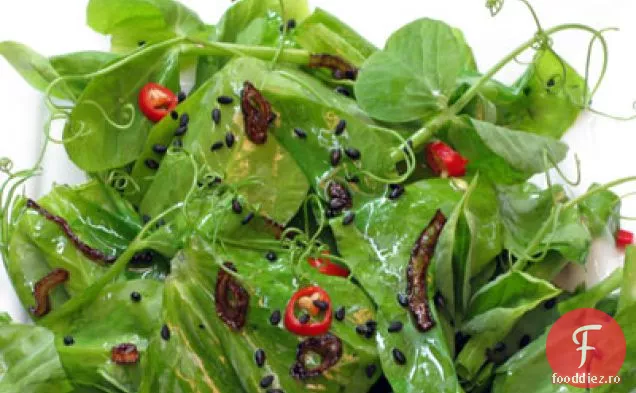Salată de Tendril de mazăre cu un sos cald de susan și Chili roșu