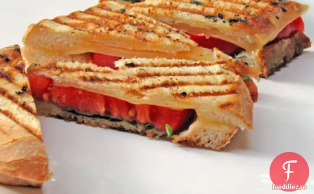 Sandwich Gouda la grătar cu roșii și busuioc