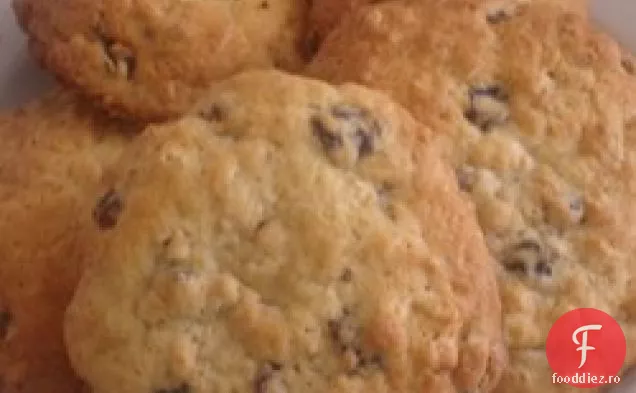 Fulgi de ovăz stafide cookie-uri III