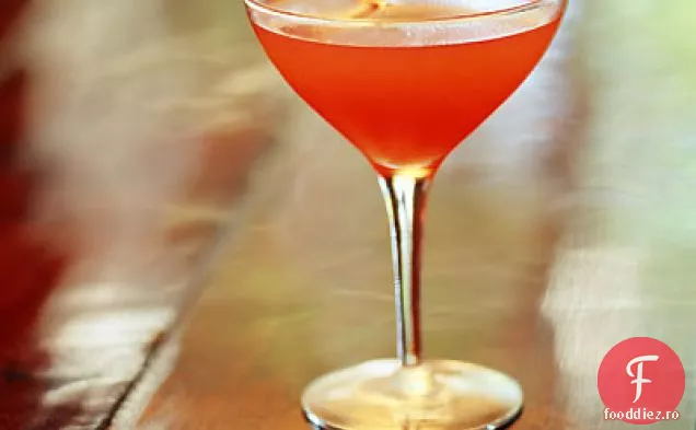 Sloe Kitty Un Cocktail Moonshine