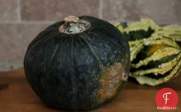 Rețete De Dovlecei De Iarnă