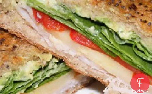 Curcan Avocado Panini
