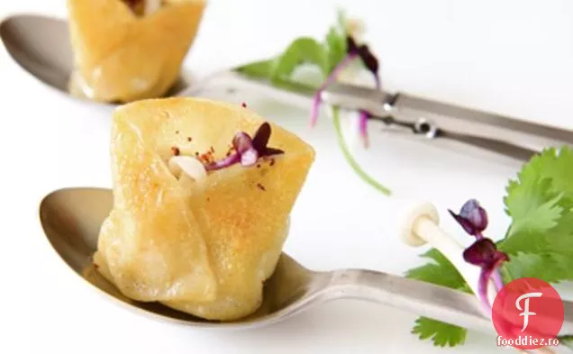 Macrou Crocant Wontons