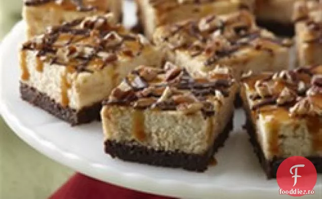 Turtle Cheesecake de la Karo 8