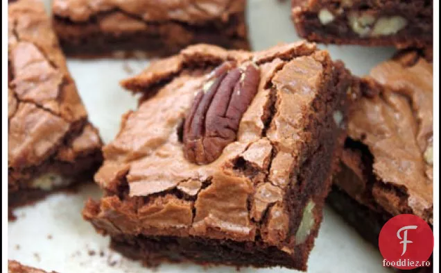 Lot Mic Boudin Brownie Copie Pisică