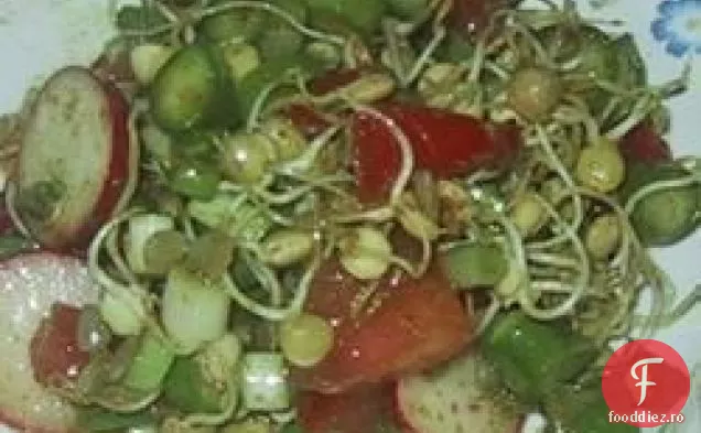 Salată De Linte Încolțită