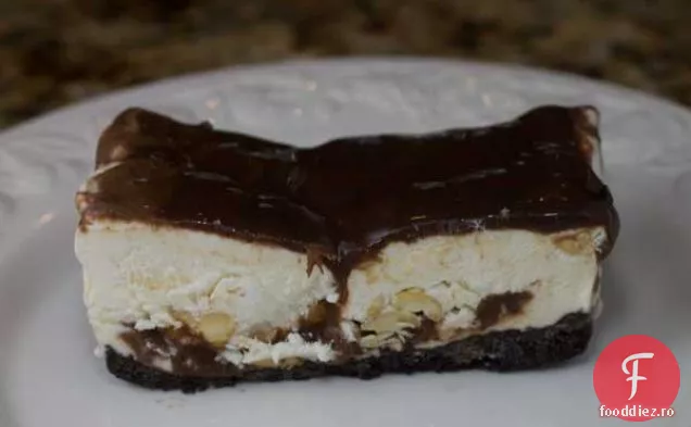 Desert Mic Buster Bar
