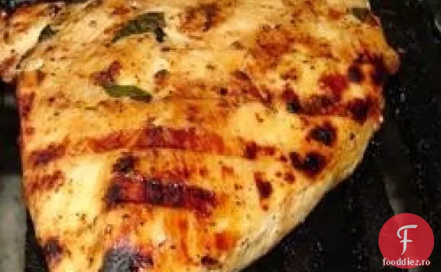 Pui De Rozmarin Portocaliu