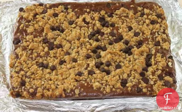 Fulgi De Ovăz Fudge Brownies