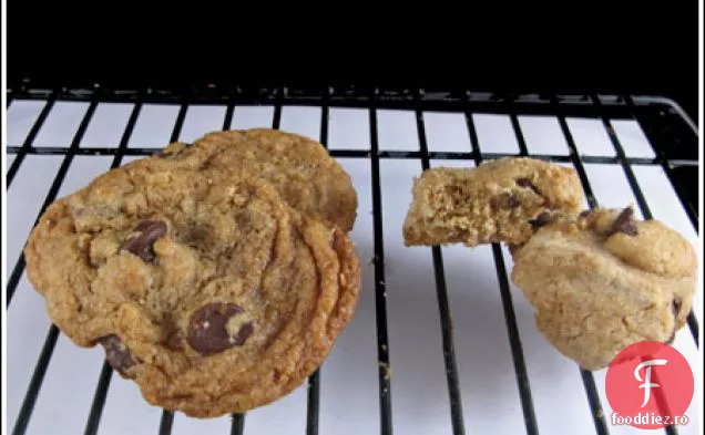 Biscuiți Experimentali Vegani Cu Ciocolată Din Grâu Integral