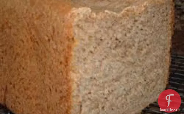 Grâul integral al lui Steve