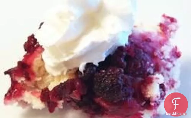 Emily ' s Blackberry Cobbler