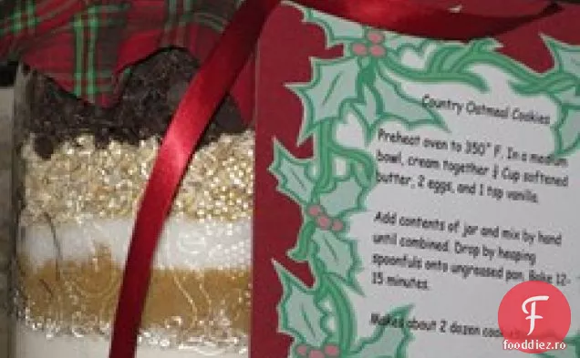 Cookie de ovăz de țară într-un borcan