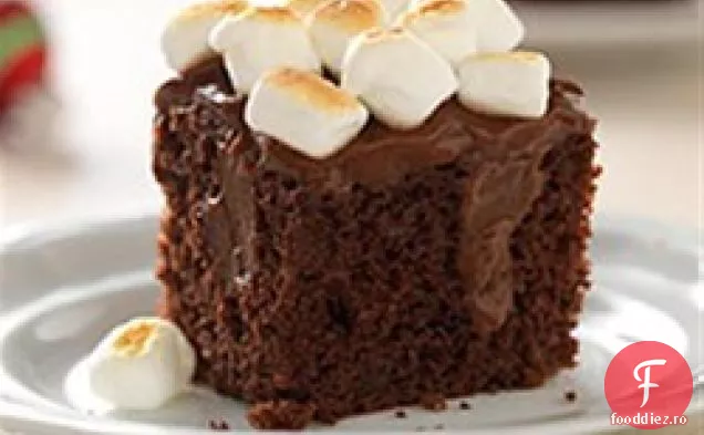 Tort De Budincă De Ciocolată Prăjită Cu Marshmallow