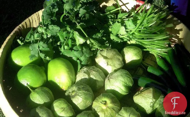 Rețetă De Salsa Prăjită Cu Tomatillo Chile