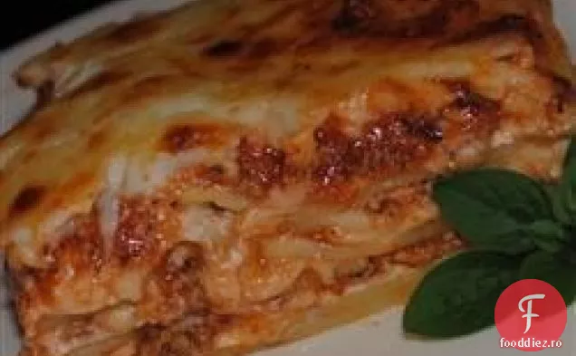 Lasagna lui Kristy
