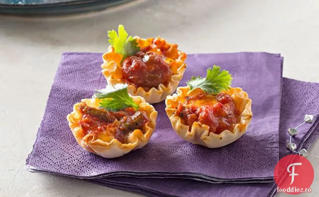 Salsa Dip Aperitive Bites
