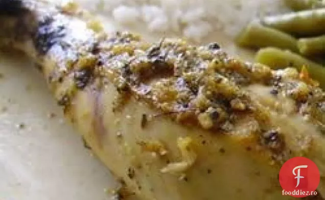 Pui De Lămâie Mediteranean