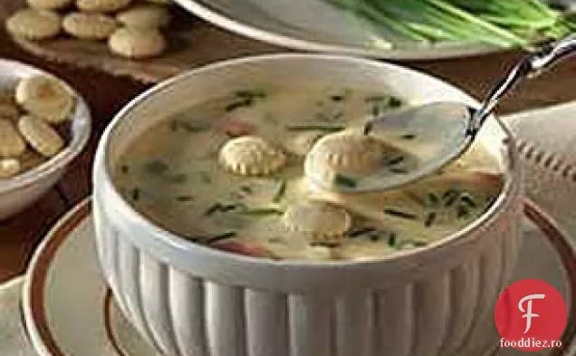 Chowder Auriu Consistent