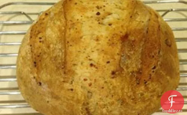 Dilly Pâine
