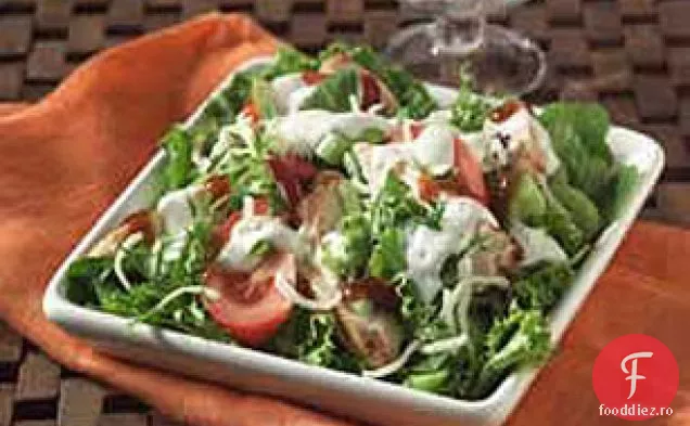 Salată De Pui Rodeo Ranch