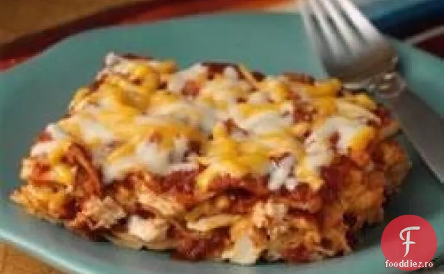 Enchiladas Ușor De Pui Cu Brânză
