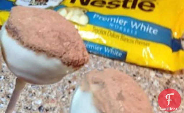Bile De Tort Tiramisu