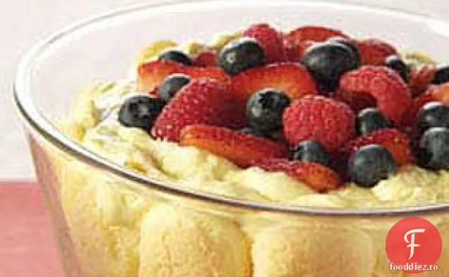 Desert Festiv Cu Budincă Triplă Cu Fructe De Pădure