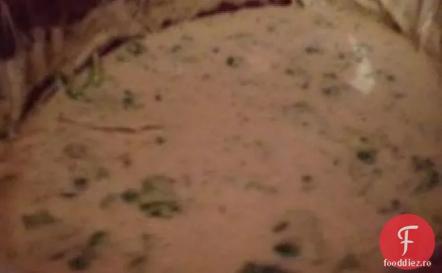Cremă de aragaz lent de supă de Broccoli