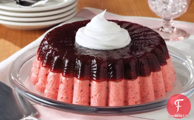 Mucegai De Mousse De Afine Stratificat