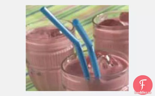 Shake De Iaurt Cu Fructe