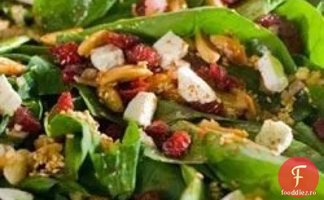 Salata de recolta de la Oikos 4